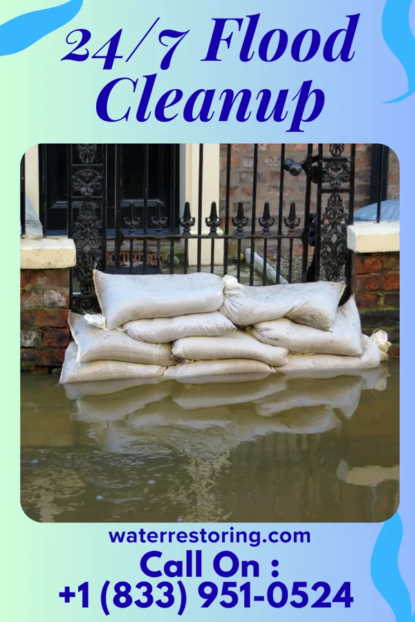 24/7 Flood Cleanup in Meadowood, PA