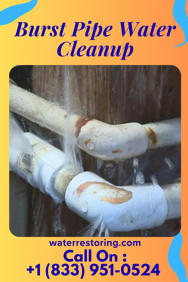 Burst Pipe Water Cleanup in Meadowood, PA