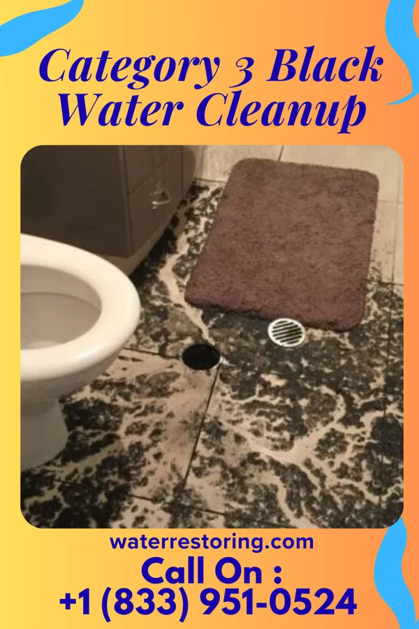 Category 3 Black Water Cleanup in Meadowood, PA