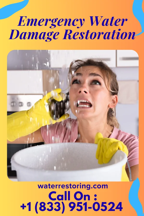 Emergency Water Damage Restoration in Meadowood, PA