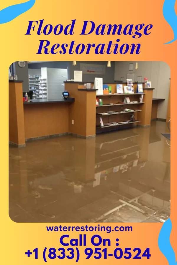 Flood Damage Restoration in Meadowood, PA