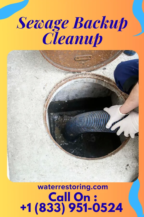 Sewage Backup Cleanup in Meadowood, PA
