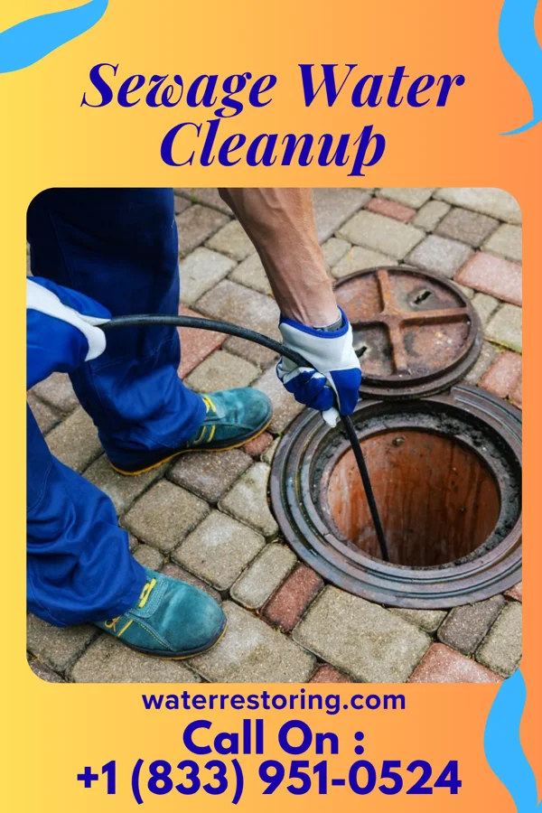 Sewage Water Cleanup in Meadowood, PA