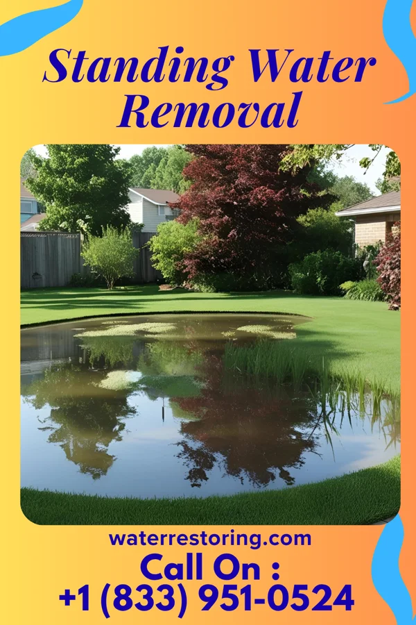 Standing Water Removal in Meadowood, PA